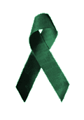 Liberty Round Table Green Ribbon for Freedom Campaign